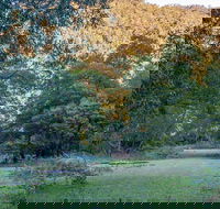 Griffins walking track - Queensland Tourism