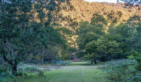 Griffins Walking Track - Queensland Tourism 0