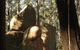 Gulaga National Park - thumb 0