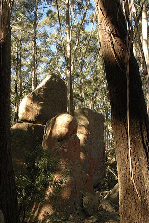 Gulaga National Park - Queensland Tourism 0