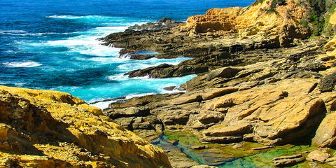 Gumnut Hideaway Gallery - Queensland Tourism 2
