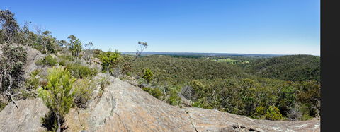 Hale Conservation Park - QLD Tourism 0