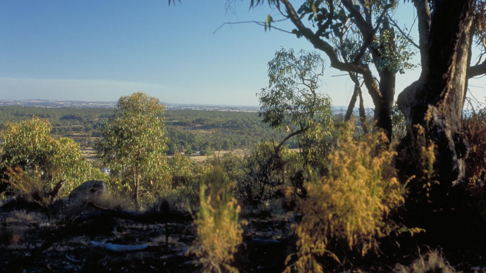 Elmore VIC QLD Tourism