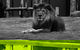 Hunter Valley Zoo - thumb 0