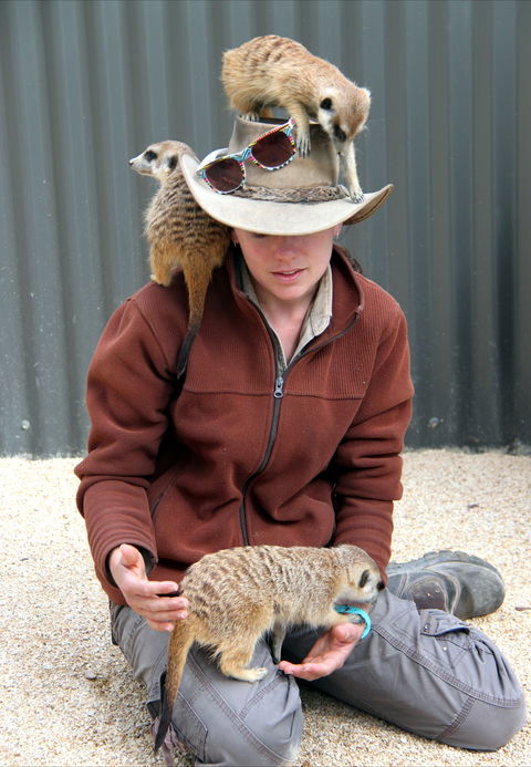Hunter Valley Zoo - QLD Tourism 2