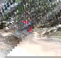 Jolly Nose Mountain Bike Park - Queensland Tourism