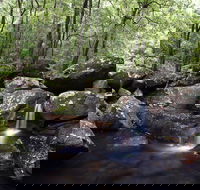 Kangaroo River - Queensland Tourism