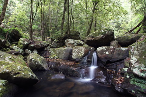 Kangaroo River - Queensland Tourism 0