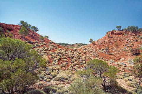 Lark Quarry Conservation Park - Queensland Tourism 0