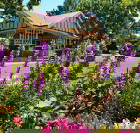 Laurel Bank Park - QLD Tourism