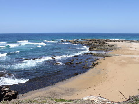 Little Shelley - QLD Tourism 0