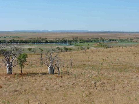 Marlgu Billabong - QLD Tourism 0
