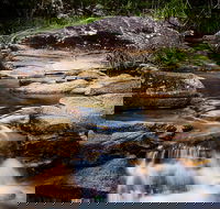 Mothar Mountain Rockpools - QLD Tourism