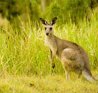 Perseverance - QLD Tourism