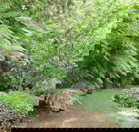 Pirianda Gardens - QLD Tourism