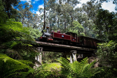 Puffing Billy Railway - QLD Tourism 0