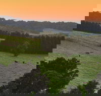 Robertson - Queensland Tourism