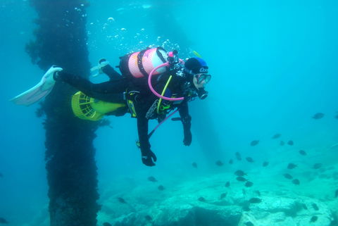 Shellharbour Scuba  And Photography Centre - QLD Tourism 0