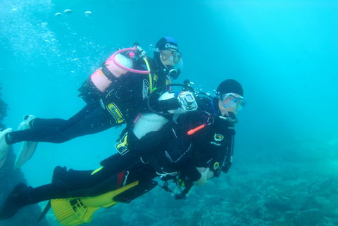 Shellharbour Scuba  And Photography Centre - QLD Tourism 1