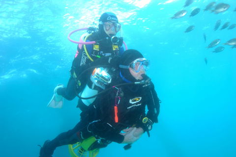 Shellharbour Scuba  And Photography Centre - QLD Tourism 2