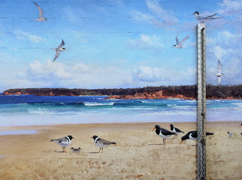 Shoalhaven Toilet Mural Tour - Queensland Tourism 2