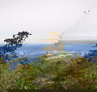 Slingsbys Trail and Syndicate Ridge Track - QLD Tourism