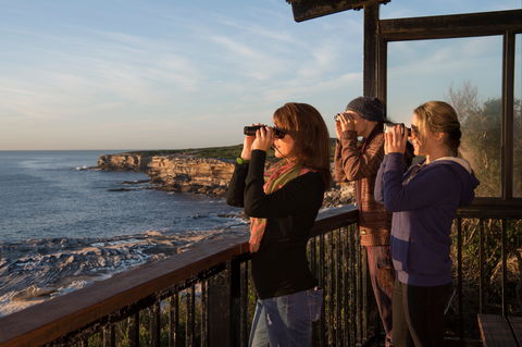 Sutherland Shire - QLD Tourism 0