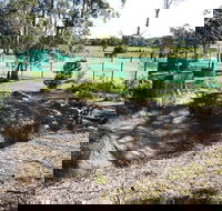 Tactical Paintball Games - Queensland Tourism