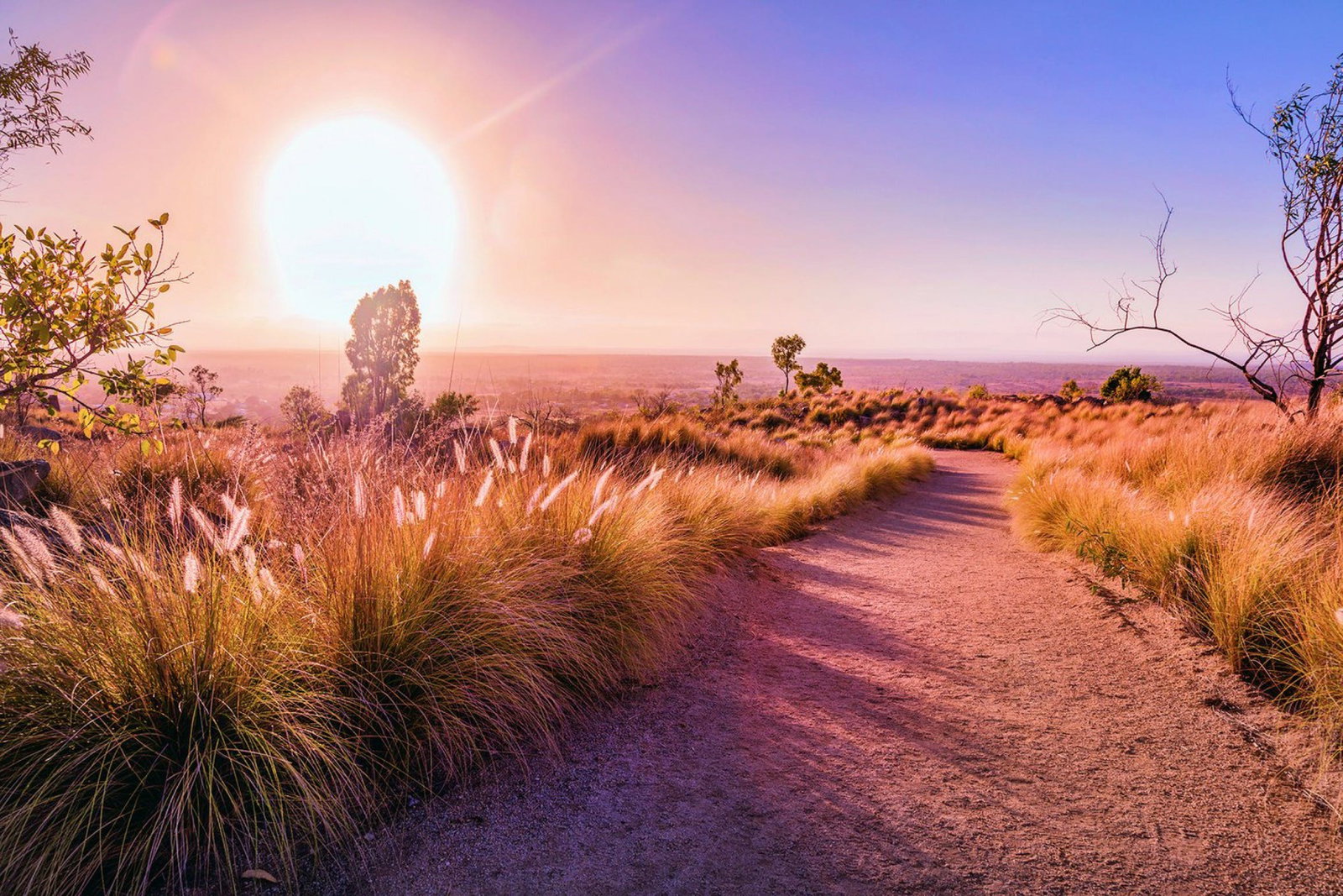 Idalia QLD QLD Tourism