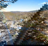 Wadbilliga National Park - Queensland Tourism