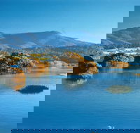 Wagonga Picnic Area - Queensland Tourism