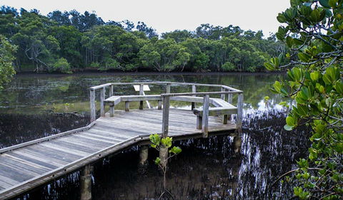 Walk On Water Walking Track - QLD Tourism 0