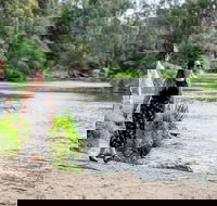 Warrandyte River Reserve - QLD Tourism