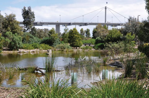 Westgate Park - QLD Tourism 2
