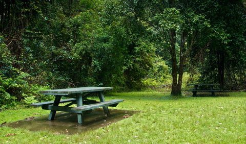 Williams River Picnic Area - Queensland Tourism 0