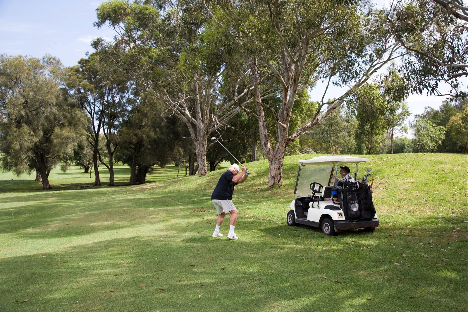 Sutherland Shire NSW QLD Tourism