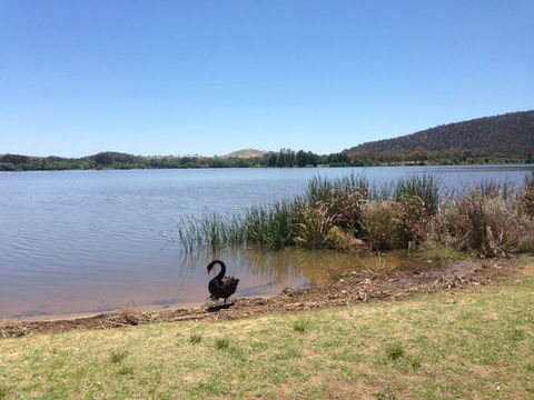 Yarralumla Bay - Queensland Tourism 0