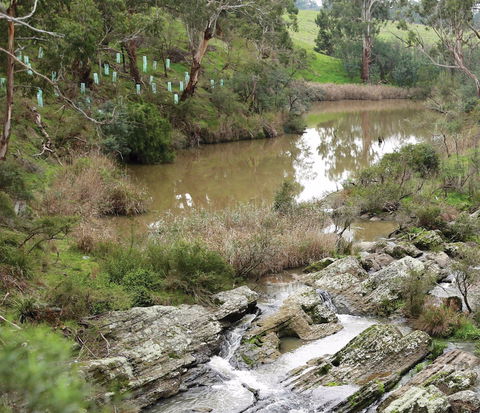Yarrambat Park - QLD Tourism 1