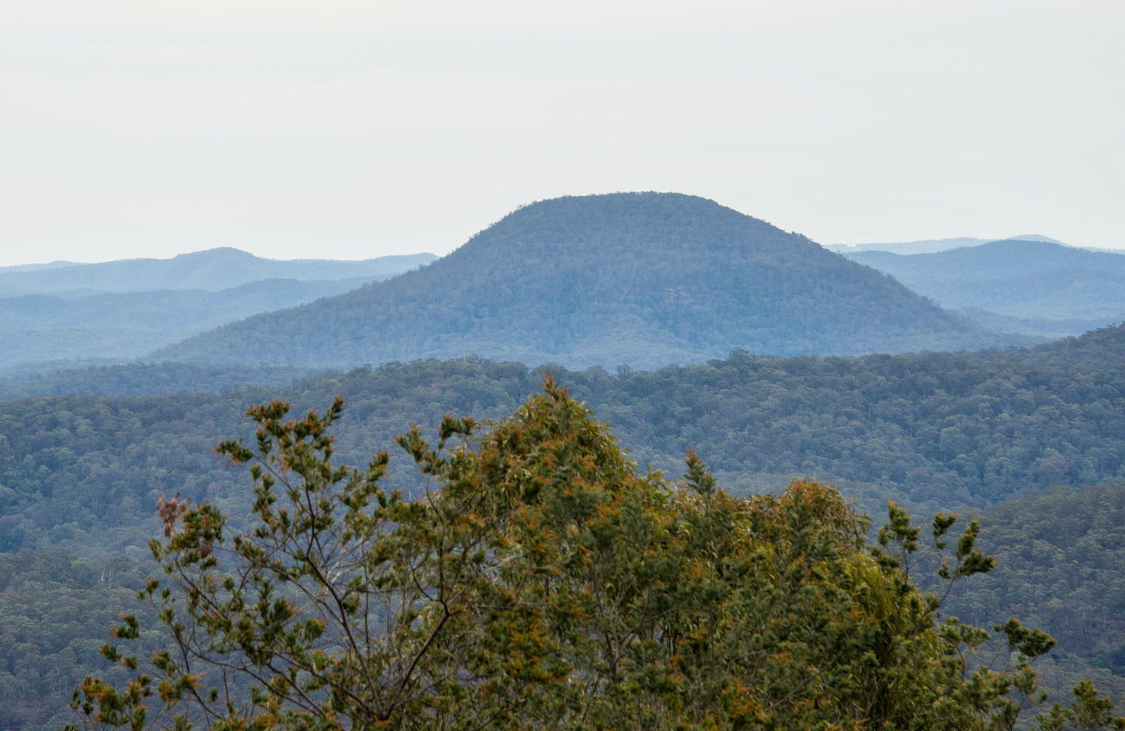 Kitchener NSW QLD Tourism
