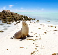 Abrolhos Islands - QLD Tourism