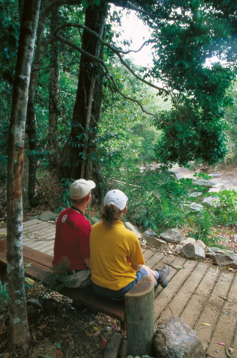 Airlie Beach To Cedar Creek Falls - QLD Tourism 2