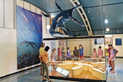 Australian Dinosaur Trail - Queensland Tourism 1