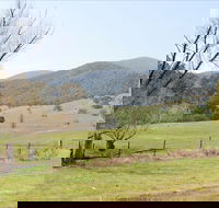 Banimboola Creek Rest Area - Queensland Tourism