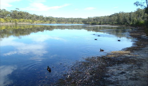 Berrara Creek - QLD Tourism 0