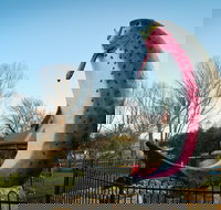 Big Trout - Queensland Tourism