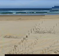 Bongil Beach - QLD Tourism