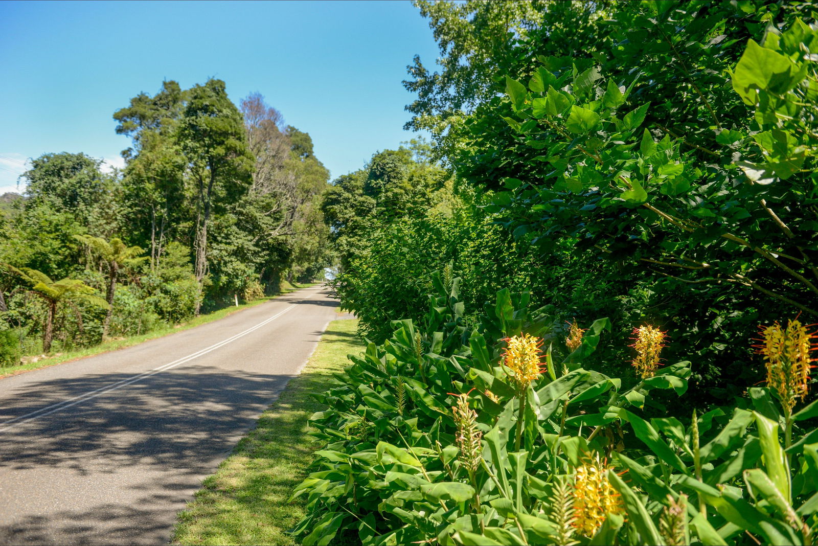 Broughton Vale NSW QLD Tourism