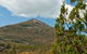 Burrowa-Pine Mountain National Park - thumb 0