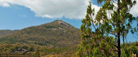 Burrowa-Pine Mountain National Park - Queensland Tourism 0