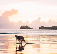 Cape Hillsborough  A Low Tide Fishing Adventure - QLD Tourism
